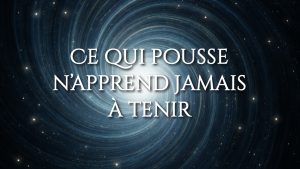 Ce qui pousse n’apprend jamais à tenir. Énergie du matin : pourquoi elle ne tient pas sans base. Pourquoi ce qui vous stimule ne vous porte pas vraiment.