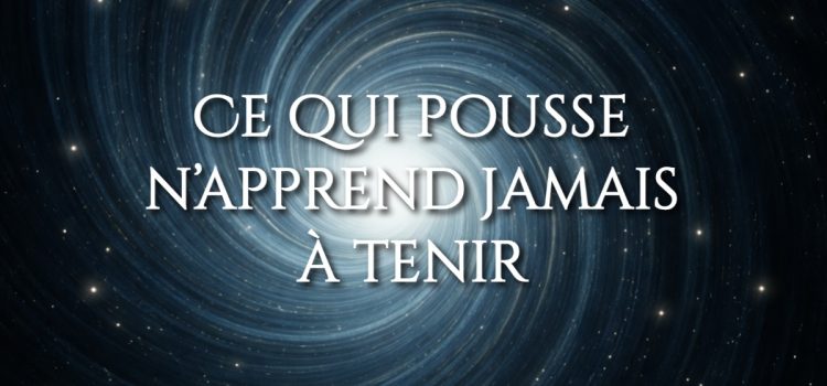 Ce qui pousse n’apprend jamais à tenir. Énergie du matin : pourquoi elle ne tient pas sans base. Pourquoi ce qui vous stimule ne vous porte pas vraiment.