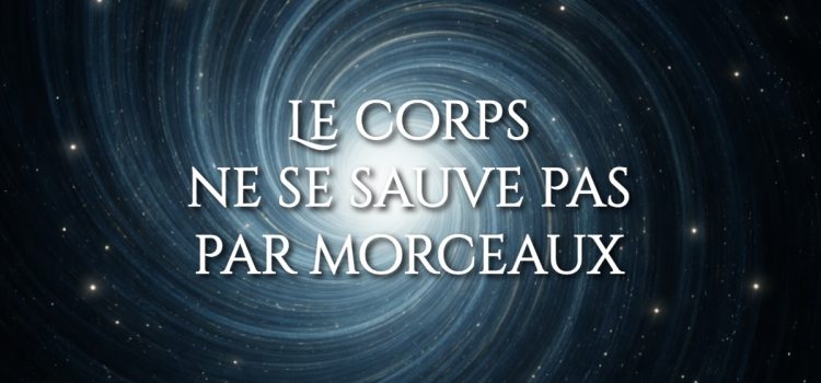 Corps solide : pourquoi un aliment ne suffit jamais Le corps ne se sauve pas par morceaux. Corps solide : pourquoi un aliment ne suffit jamais. Pourquoi la puissance d’un aliment ne suffit jamais à faire tenir le corps.