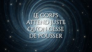 Le corps attend juste qu’on cesse de pousser. Apaisement du corps : pourquoi il transforme sans forcer. Pourquoi un apaisement discret transforme plus qu’un remède puissant.