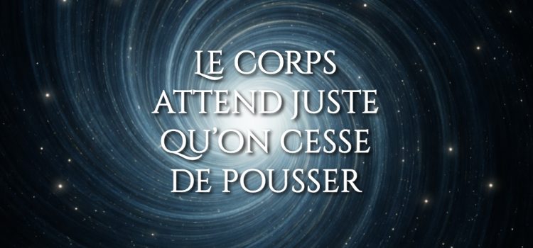 Le corps attend juste qu’on cesse de pousser. Apaisement du corps : pourquoi il transforme sans forcer. Pourquoi un apaisement discret transforme plus qu’un remède puissant.